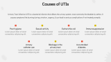 Classification of Urinary Tract Infections (UTIs) - Slide 4