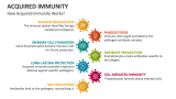 How Acquired Immunity Works? - Slide 6