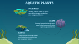 Ocean Theme - Slide 3