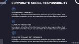 Tech Company Overview - Slide 12