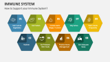 How to Support your Immune System? - Slide 4