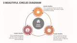 3 Beautiful Circles Diagram - Slide 1