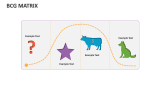 Bcg Matrix - Slide 5