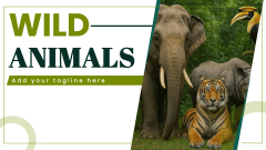 Wild Animals - Slide 1