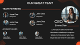 Financial Overview (infographic) - Slide 13