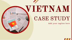 Vietnam Case Study - Slide 1