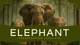 Elephant Presentation Template - Slide 1