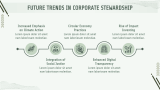 Strategies For Successful Corporate Stewardship - Slide 9