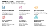 Why Companies Adopt Transnational Strategies - Slide 3