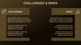Cryptocurrency Business Model - Slide 11