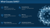 Severe Acute Respiratory Syndrome (SARS) - Slide 3