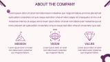 New Product Launch Marketing Plan - Slide 3