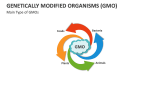 Main Type of Genetically Modified Organisms (GMO) - Slide 1