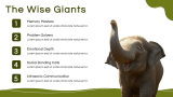 Elephant Presentation Template - Slide 5
