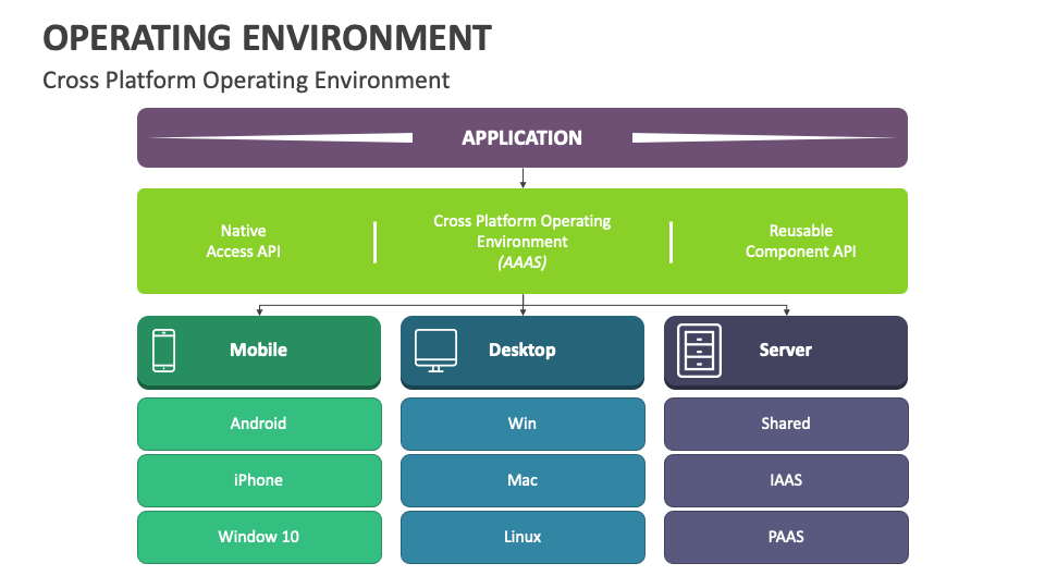 Operating Environment PowerPoint and Google Slides Template - PPT Slides
