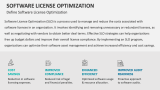 Define Software License Optimization - Slide 2
