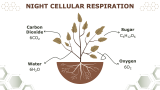 Biology For High School Presentation - Slide 6