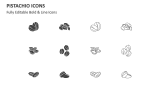 Pistachio Icons - Slide 2