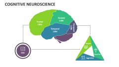Cognitive Neuroscience - Slide 1