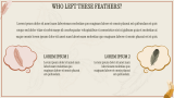 A Tale of Two Feathers - Slide 4