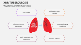 XDR Tuberculosis - Slide 5