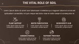 Soil Spectrum: Main Soil Types - Slide 6