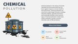Pollution and Its Effects - Slide 6