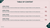 Pretty Presentation Theme - Slide 2