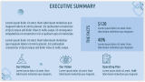 It Company Business Plan - Slide 4