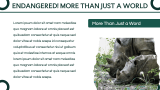 Endangered Species Presentation - Slide 3