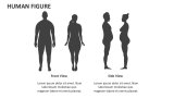 Human Figure - Slide 2
