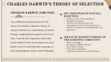 Theories of Evolution - Slide 5