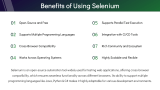 Selenium Testing - Slide 11