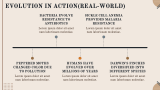 Theories of Evolution - Slide 9