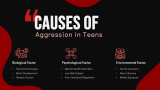 Aggression in Teens Workshop - Slide 5