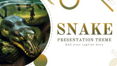 Snake Presentation - Slide 1