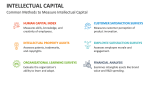 Common Methods to Measure Intellectual Capital - Slide 5