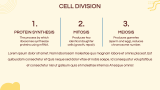 Cell Biology Presentation - Slide 8