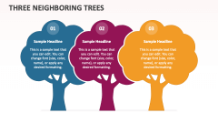 Three Neighboring Trees - Slide 1