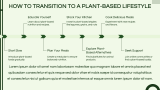 Plant-Based Nutrition Presentation - Slide 6
