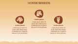 Horse Theme - Slide 5