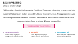 What is ESG Investing? - Slide 2