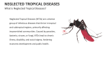 What is Neglected Tropical Diseases? - Slide 2