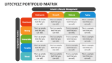 Lifecycle Portfolio Matrix PowerPoint and Google Slides Template - PPT ...