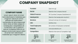 Company Snapshot - Slide 2