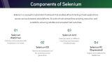 Selenium Testing - Slide 4