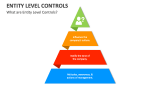 What are Entity Level Controls? - Slide 1