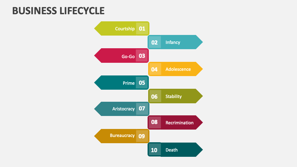 Business Lifecycle Template for PowerPoint and Google Slides - PPT Slides