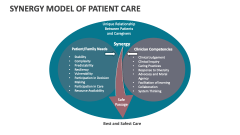 Synergy Model of Patient Care - Slide 1