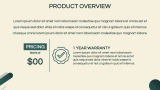 New Product Sales Plan - Slide 4